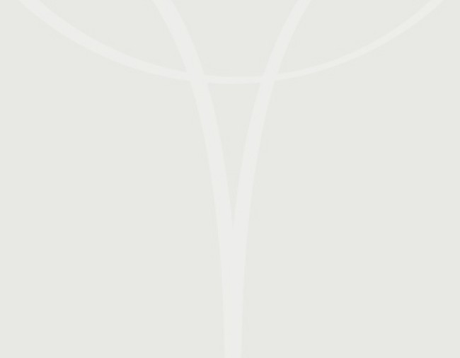 Grauer Hintergrund mit Logo