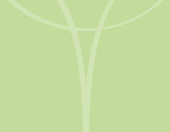 Grüner Hintergrund mit Logo